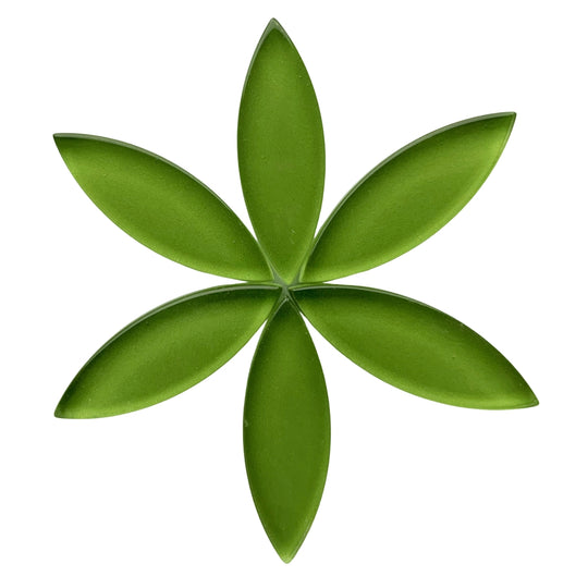 Keskikokoiset terälehdet lime