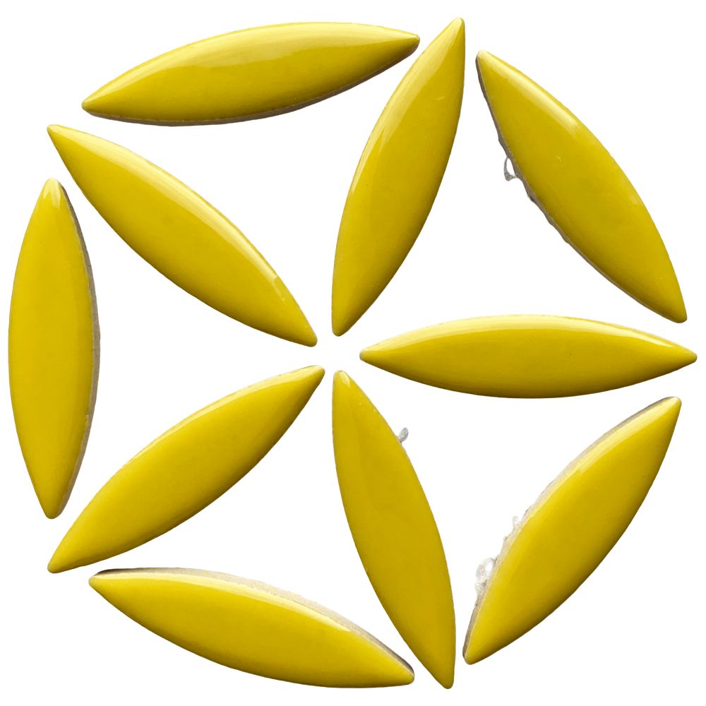 Ellips Citron