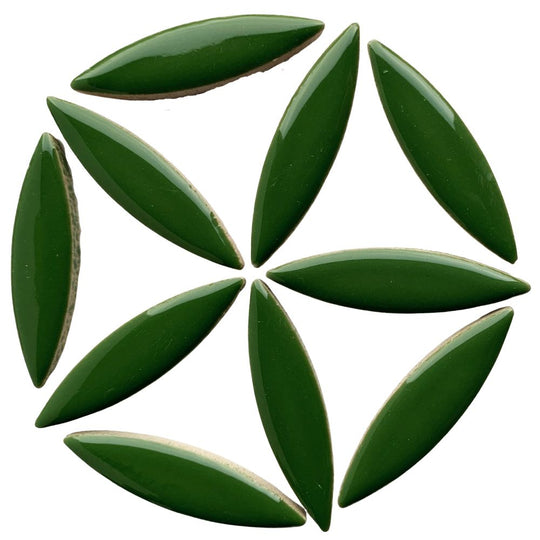 Ellipsi eukalyptus