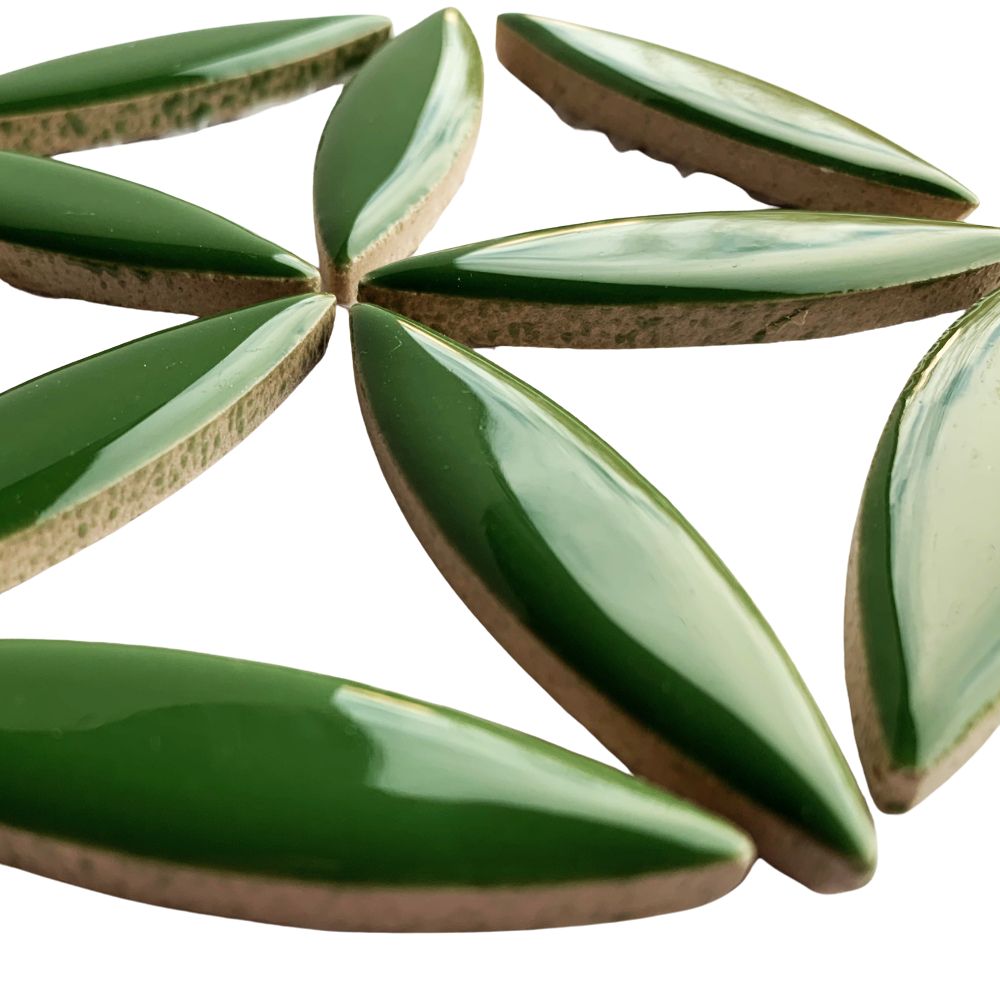 Ellips Eukalyptus