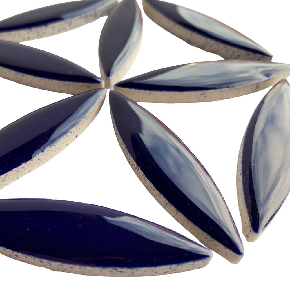 Ellipsi indigo