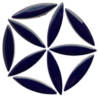 Ellipsi indigo