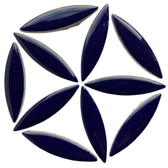 Ellipsi indigo