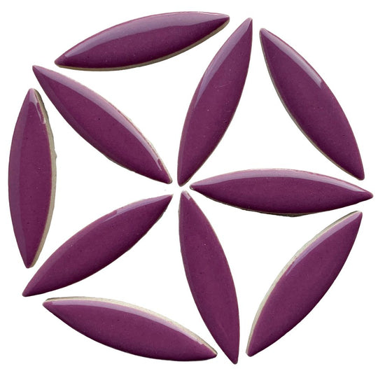 Ellipsi purppura
