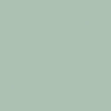 CE.SI. Glazed Floor Tiles Aloe 20cm