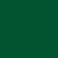 CE.SI. Glazed Floor Tiles Felce 20cm