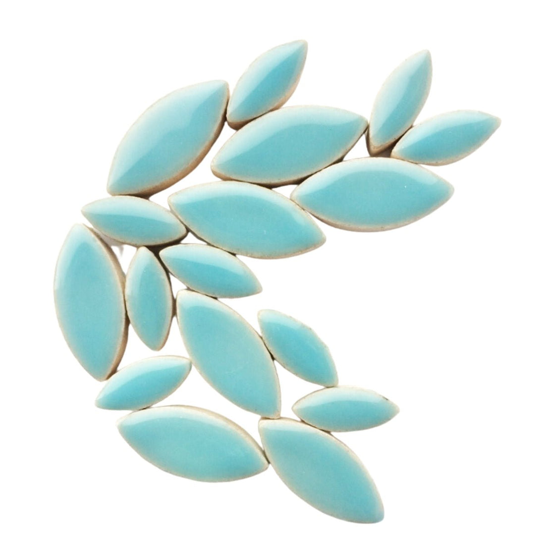Terälehdet atsuurinsininen — Mosaicshop