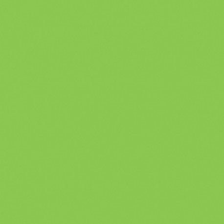 Mosa-17900 Macaw Green 15cm — Mosaicshop
